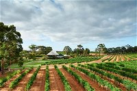 Vasse Felix Winery Tour and Tasting - Attractions Perth