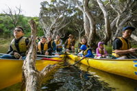 Margaret River Canoe Tour Including Lunch - Accommodation BNB