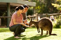 Very Best of Perth Tour - Wildlife Park  City Highlights Tour - Carnarvon Accommodation