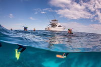 Exclusive Ningaloo Adventure Charter from Exmouth - eAccommodation