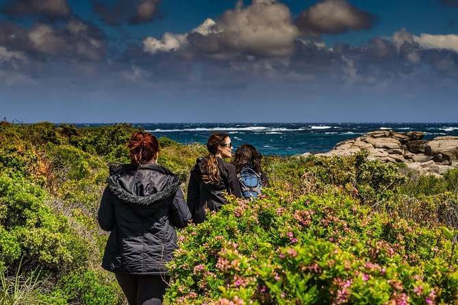 Guided Walks on the Cape to Cape - Wilyabrup Cliffs Margaret River