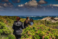 Guided Walks on the Cape to Cape - Wilyabrup Cliffs - Attractions Perth