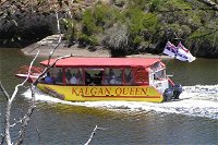 Kalgan Queen Scenic Cruises a four hour sheltered water wildlife tour daily fun. - Gold Coast Attractions