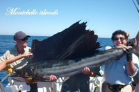 Montebello Island Fishing Charters - WA Accommodation