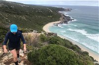 Cape to Cape Track Hike and Winery Tour - Accommodation Tasmania