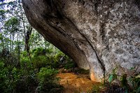 Porongurup Nature  History Eco Tour - Accommodation Tasmania