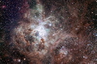 Overnight Astronomy Experience Ningaloo - Yardie Homestead - Broome Tourism