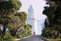 South of the River Wine Tour in Margaret River - Attractions Perth