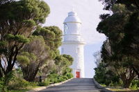 South of the River Wine Tour in Margaret River - QLD Tourism