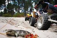 2.5 Hours Quad Bike Tours only 35 minutes from Perth - Tourism Brisbane