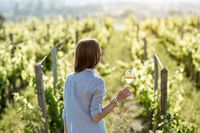 5 Hours Wineries Coffee Tasting Forest  Lunch at the Berry Farm - Gold Coast Attractions