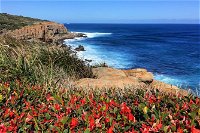 Cape to Cape End-to-End 8 Day Walking Experience - Carnarvon Accommodation
