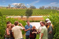 Yarra Valley Wine and Winery Tour from Melbourne - Accommodation Directory
