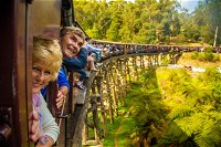 Puffing Billy Steam Train  Healesville Wildlife Sanctuary Tour From Melbourne