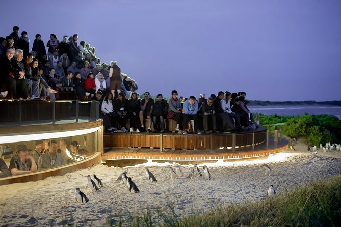 Phillip Island VIC Attractions Perth