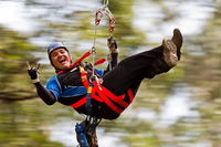 12 Apostles and Otway Fly Zipline Day Trip from Melbourne - South Australia Travel