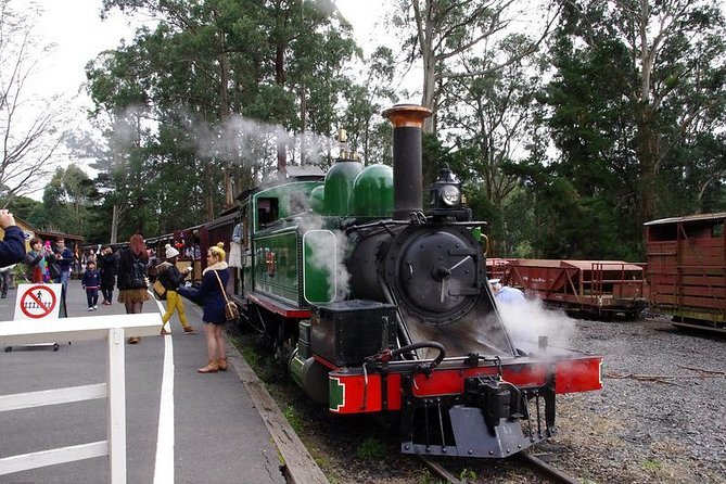 Puffing Billy Train With Optional Penguin Parade or Melbourne City Tour Melbourne