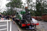 Puffing Billy Train With Optional Penguin Parade or Melbourne City Tour - Accommodation Directory