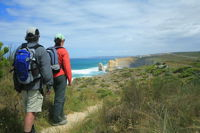 Great Walks of Australia4-Day Twelve Apostles Signature Walk OR 3 day Long wknd - Accommodation Nelson Bay