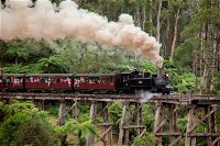 Melbourne Combo Great Ocean Road Puffing Billy Moonlit Sanctuary  Penguins - Palm Beach Accommodation