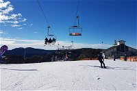 Mt. Buller Ski Tour from Melbourne - Palm Beach Accommodation