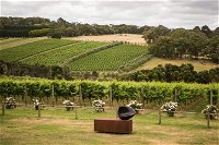 Montalto Vineyard Mornington Peninsula Discovery Wine Tasting and Lunch - Accommodation Cooktown