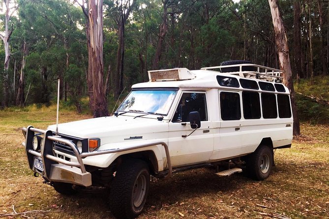 Private Tour Wombat State Forest Wildlife Safari 4WD Tour from Melbourne Melbourne
