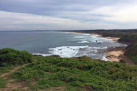 Half Day Phillip Island Woolamai Walking Tour - Gold Coast Attractions