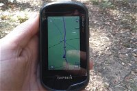 GPS guided walks in the Daylesford Forest - Port Augusta Accommodation
