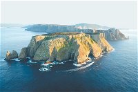 3-Hour Tasman Peninsula Wilderness Cruise from Port Arthur - Accommodation Daintree