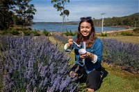 Port Arthur and Lavender Farm Active Day Tour - Accommodation Cooktown
