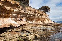 Maria Island premium private photo-oriented day tour from Hobart - Accommodation BNB