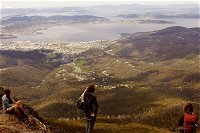 Mt Wellington Half Day Guided Summit Hike - C Tourism