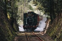 West Coast Wilderness Railway River and Rainforest from Strahan - Accommodation BNB