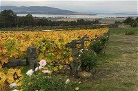 Mona and Wine Experience Tour - Accommodation Batemans Bay