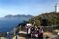 3-Day Tasmania Combo Hobart to Launceston Active Tour - C Tourism