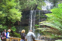 Mt Field National Park and Russell Falls from Hobart - Wagga Wagga Accommodation