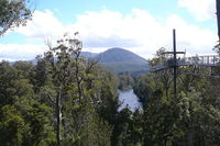 Huon Valley and Tahune Forest Airwalk Tour from Hobart - Surfers Gold Coast