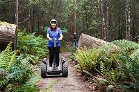 Hollybank Wilderness Adventures - Segway Tour - Tourism Canberra