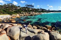 4-Day Tasmania East Coast Adventure from Launceston to Hobart Including Bay of Fires Wineglass Bay Bruny Island and Port Arthu - Tourism TAS