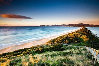 Full-Day Guided Bruny Island Tour from Hobart - Whitsundays Tourism