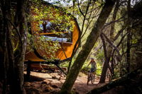 Blue Derby Pods Ride Experience 3-Day Mountain Bike Adventure in Exclusive Pods - New South Wales Tourism 