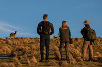 Small Group Tasmanias Wilderness And Wildlife Day Tour - Accommodation Sydney