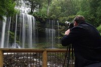 Mt Field and Styx Valley Photography Tour - VIC Tourism