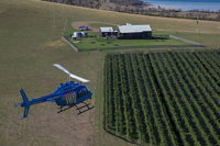 Bangor Vineyard Shed Helicopter Tour - Accommodation Perth
