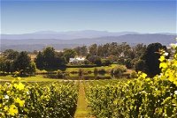 Josef Chromy Wines Winery Tour Including Tasting and Lunch - Tourism Canberra