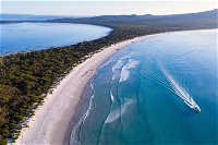 Maria Island Cruise  Walk. Renowned day tour with drinks and guided walk - Maitland Accommodation