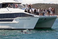 The Peppermint Bay Lunch Cruise from Hobart - Wagga Wagga Accommodation