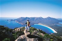 Full-Day Tour to Wineglass Bay from Hobart - Maitland Accommodation