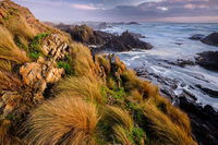 4-Day Tarkine Wilderness Photography Workshop - QLD Tourism